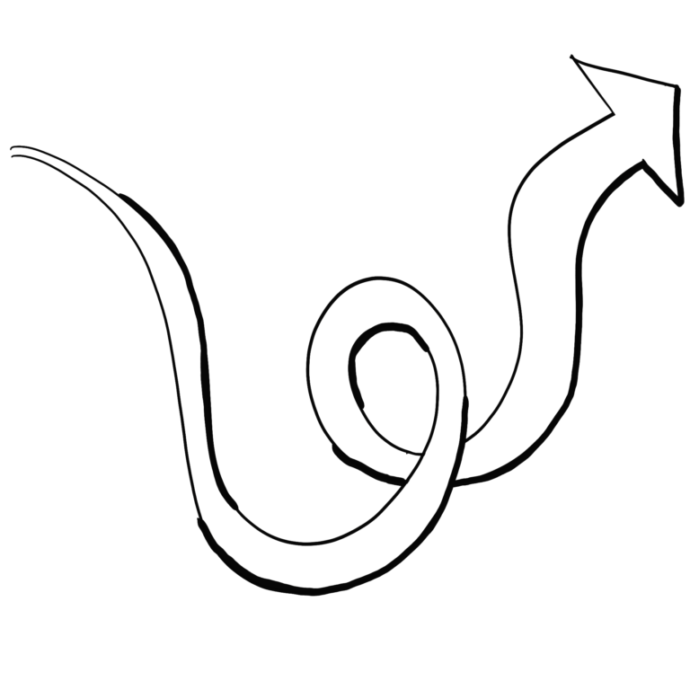 Bevægelse